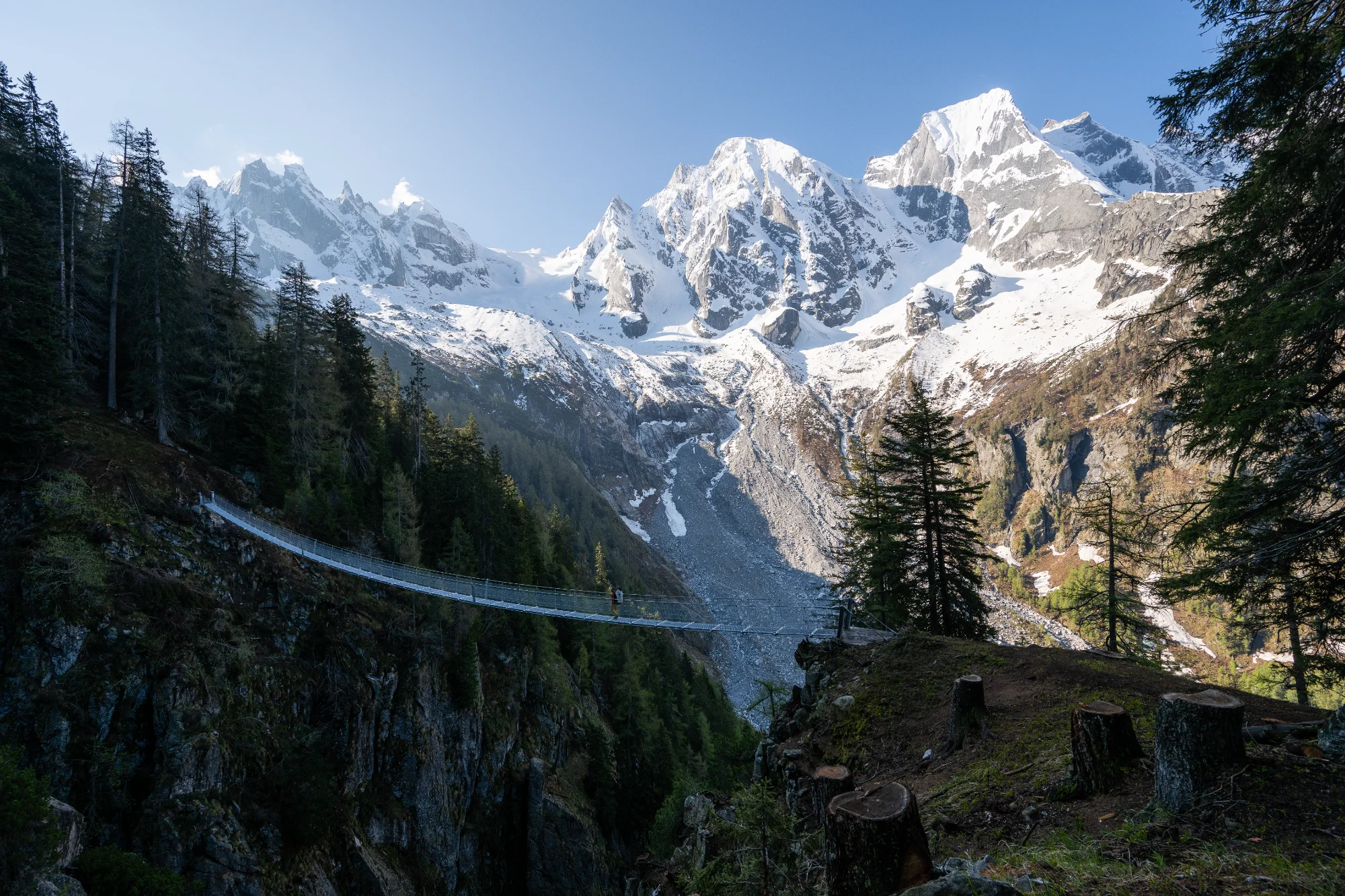 Die Granitriesen